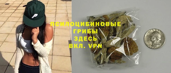 хмурый Аркадак