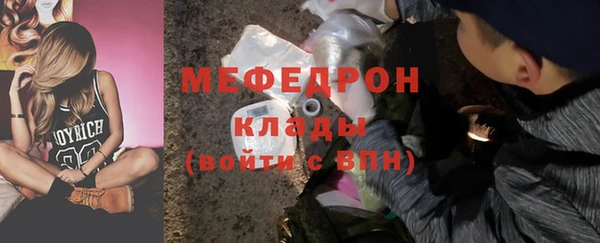 хмурый Аркадак