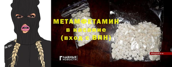 хмурый Аркадак