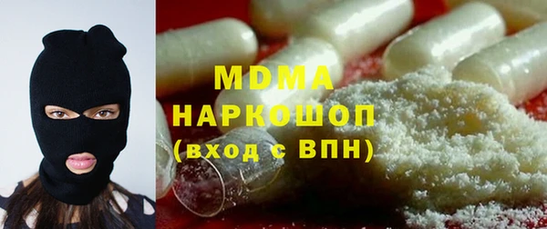 хмурый Аркадак