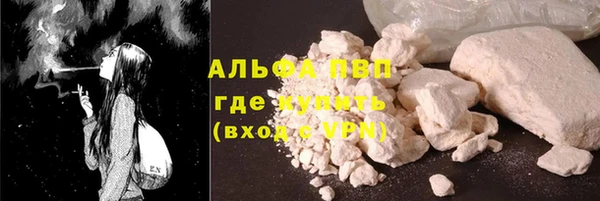 хмурый Аркадак