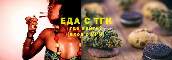 хмурый Аркадак