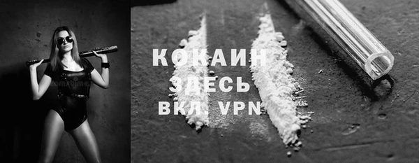 хмурый Аркадак