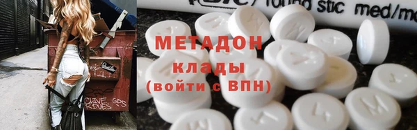хмурый Аркадак