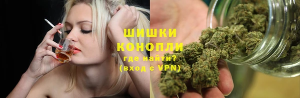 прущие грибы Армянск
