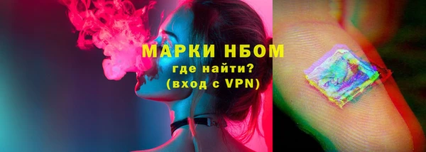 хмурый Аркадак