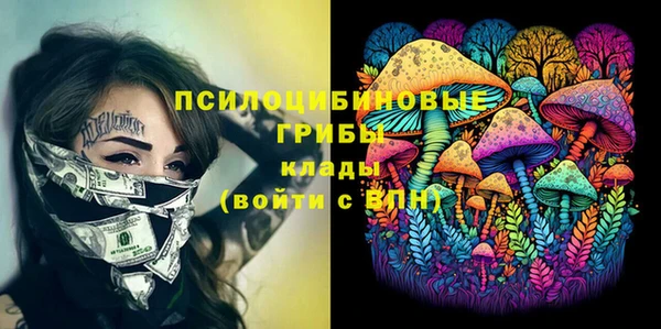 хмурый Аркадак