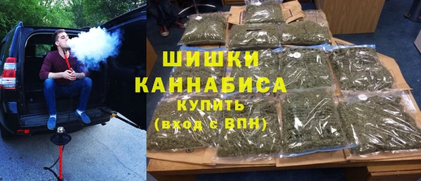 хмурый Аркадак