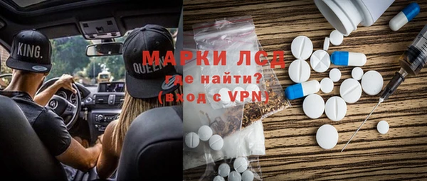 хмурый Аркадак