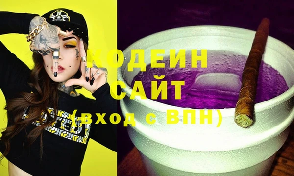 хмурый Аркадак