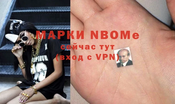 хмурый Аркадак
