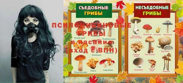 PSILOCYBIN Арсеньев