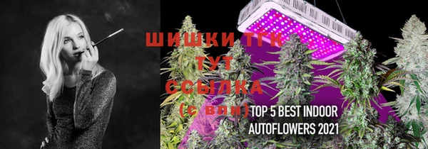 прущие грибы Армянск