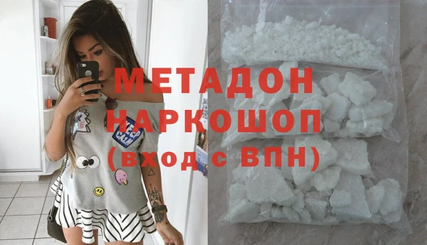 прущие грибы Армянск