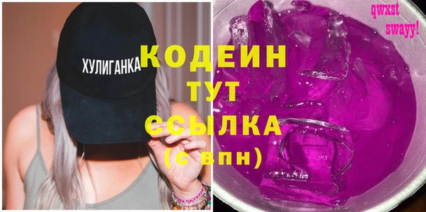 хмурый Аркадак
