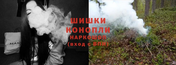 хмурый Аркадак