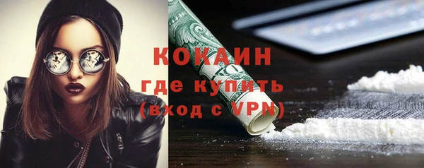 хмурый Аркадак