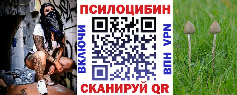 мориарти клад  omg вход  Заречный  как найти   Псилоцибиновые грибы Cubensis 