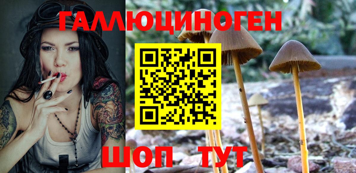 Псилоцибиновые грибы ЛСД  Галлюциногенные грибы прущие грибы  Вход с VPN  Заречный 