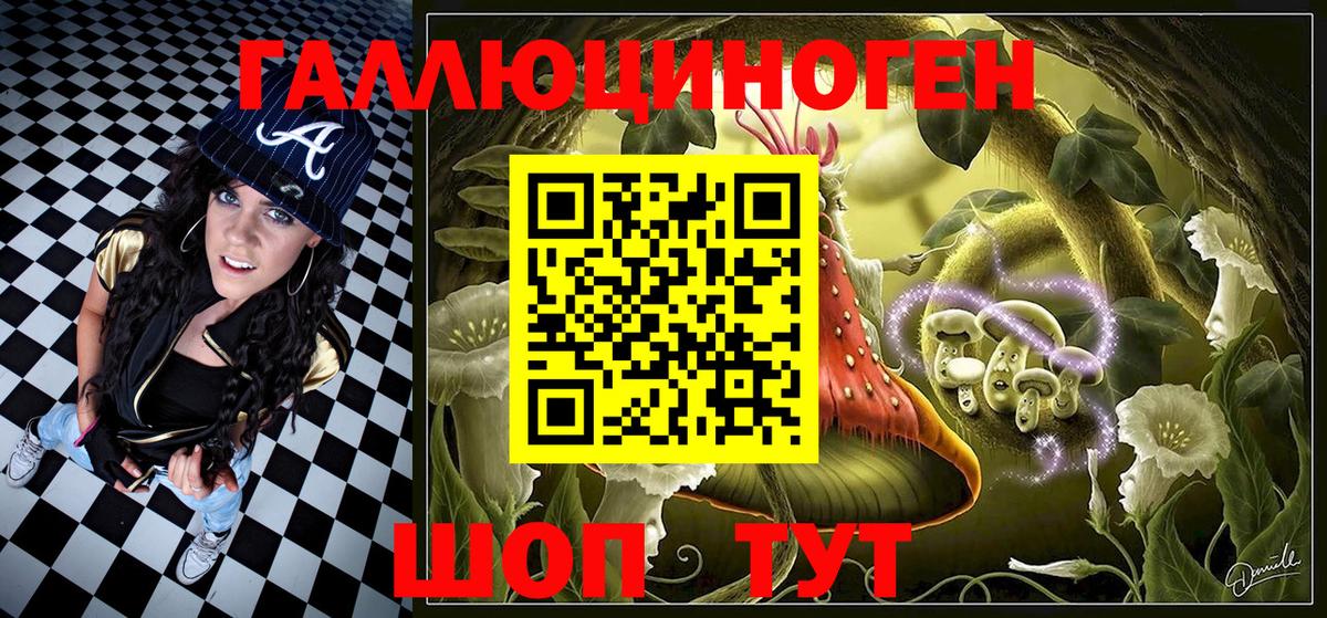 Псилоцибиновые грибы Psilocybe Заречный